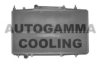 AUTOGAMMA 102275 Radiator, engine cooling